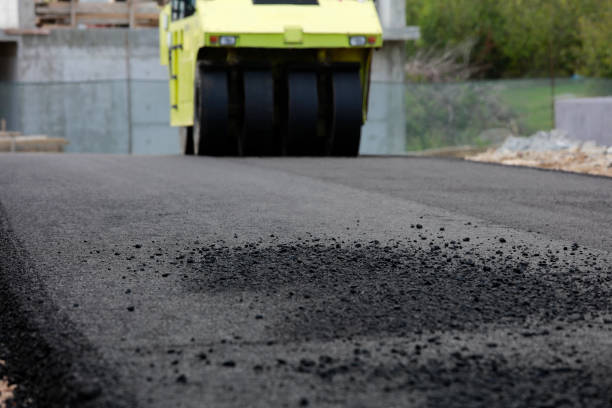 Best Interlocking Driveway Pavers  in Bay Hill, FL
