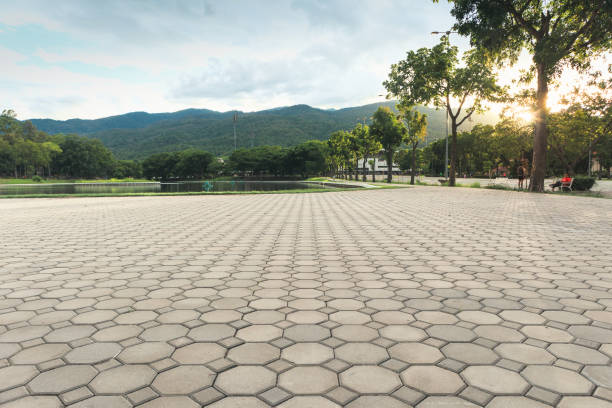 Best Residential Paver Driveway  in Bay Hill, FL